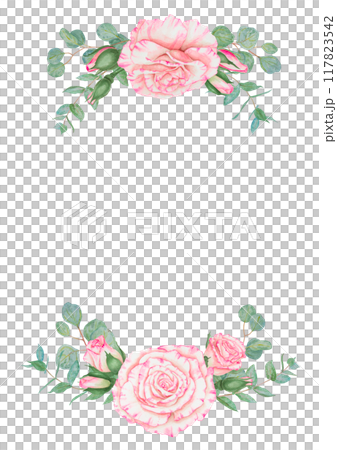Light pink rose and eucalyptus. Watercolor botanical illustration. Hand drawn clipart, cut out and isolated. Realistic flower round frame for banner template with copy space for text in wedding prints 117823542