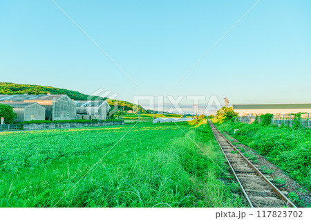 JR日本最南端の駅 西大山駅 117823702