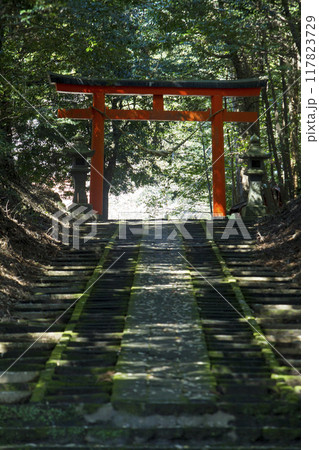 赤い鳥居のある参道 117823729