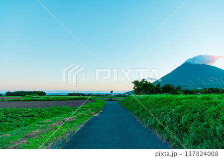 鹿児島 指宿市 田舎道 鹿児島 指宿市 田舎道 117824008