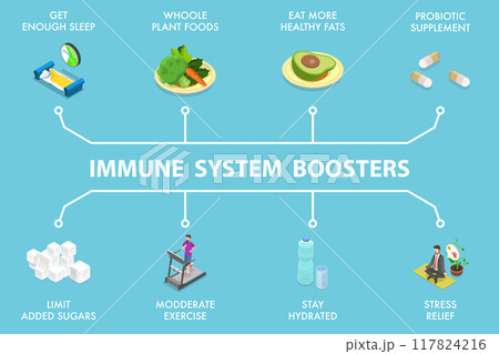 3D Isometric Flat Vector Illustration of Immune System Boosters, Human Health and Immunity 3D Isometric Flat Vector Illustration of Immune System Boosters, Human Health and Immunity 117824216