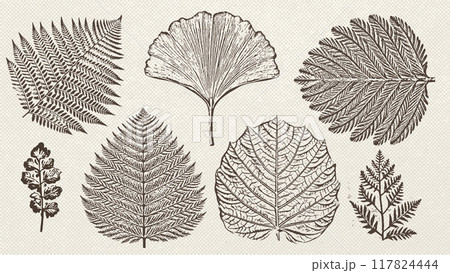 Collection of graphic prehistoric plants imprints isolated on vintage paper texture. Engraving prehistoric leaves. Vector illustrations set. 117824444