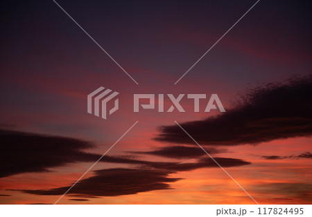 Twilight Tranquility 117824495