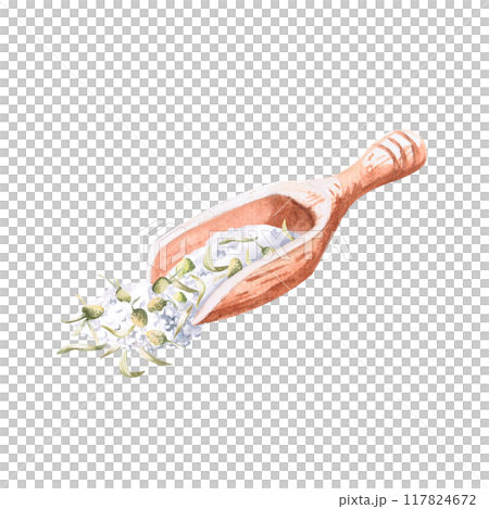Wooden spoon with bath salt and chamomile inside in watercolor. Isolated from background illustration for pharmacy, spa, relax, handmade cosmetics, essences and skincare design Wooden spoon with bath salt and chamomile inside in watercolor. Isolated from background illustration for pharmacy, spa, relax, handmade cosmetics, essences and skincare design 117824672