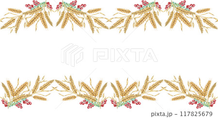 Wheat seamless border clipart with golden watercolor wheat stalks and ref cranberries for your designs. Ideal for use in digital and print projects, including cards, event decor and packaging 117825679