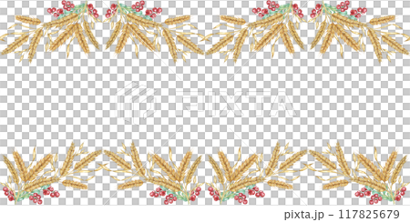 Wheat seamless border clipart with golden watercolor wheat stalks and ref cranberries for your designs. Ideal for use in digital and print projects, including cards, event decor and packaging 117825679