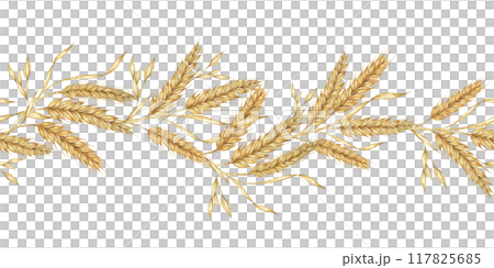 Wheat seamless border clipart with golden barley stalks in watercolor, ideal for enhancing agricultural or rustic-themed designs. Suitable for use in invitations, posters, and home decor items Wheat seamless border clipart with golden barley stalks in watercolor, ideal for enhancing agricultural or rustic-themed designs. Suitable for use in invitations, posters, and home decor items 117825685