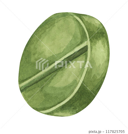 Green pill watercolor clipart displaying a round tablet with a deep green hue and a bisecting line. Perfect for medication packaging, healthcare advertisements, and educational visuals 117825705