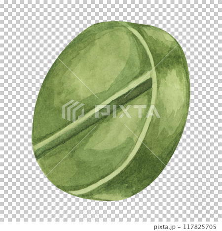 Green pill watercolor clipart displaying a round tablet with a deep green hue and a bisecting line. Perfect for medication packaging, healthcare advertisements, and educational visuals 117825705