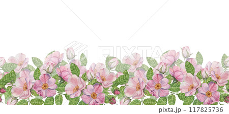 Wild rose seamless border presents vibrant pink flowers with green leaves in watercolor, for creating elegant floral designs. Clipart Ideal for use in invitations, stationery, and fabric patterns Wild rose seamless border presents vibrant pink flowers with green leaves in watercolor, for creating elegant floral designs. Clipart Ideal for use in invitations, stationery, and fabric patterns 117825736