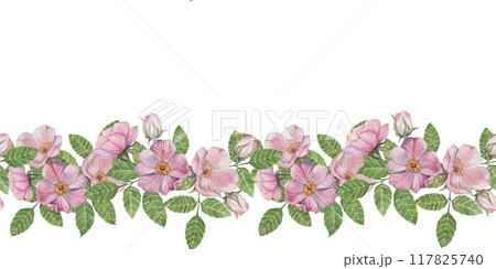 Wild rose seamless border features delicate pink blossoms with lush green leaves in watercolor. Rosehip clipart for adding a floral touch to your designs, invitations, stationery, and fabric prints Wild rose seamless border features delicate pink blossoms with lush green leaves in watercolor. Rosehip clipart for adding a floral touch to your designs, invitations, stationery, and fabric prints 117825740