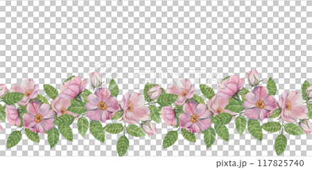 Wild rose seamless border features delicate pink blossoms with lush green leaves in watercolor. Rosehip clipart for adding a floral touch to your designs, invitations, stationery, and fabric prints Wild rose seamless border features delicate pink blossoms with lush green leaves in watercolor. Rosehip clipart for adding a floral touch to your designs, invitations, stationery, and fabric prints 117825740