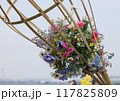 公園のフラワー籠 公園のフラワー籠 117825809