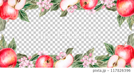 Rectangular frame with red ripe apples, slices and leaves in realistic style. Isolated watercolor illustration for farm fruit design, agricultural fairs, organic product packaging Rectangular frame with red ripe apples, slices and leaves in realistic style. Isolated watercolor illustration for farm fruit design, agricultural fairs, organic product packaging 117826396