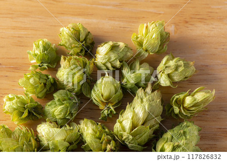 ビール原料の香りが良いホップ ビール原料の香りが良いホップ 117826832