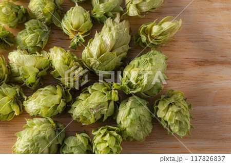ビール原料の香りが良いホップ ビール原料の香りが良いホップ 117826837
