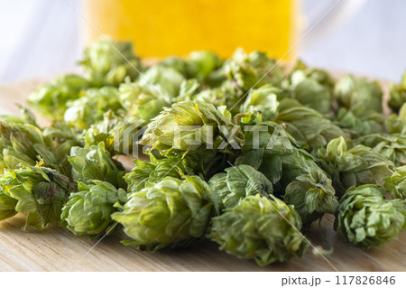 ビール原料の香りが良いホップ ビール原料の香りが良いホップ 117826846