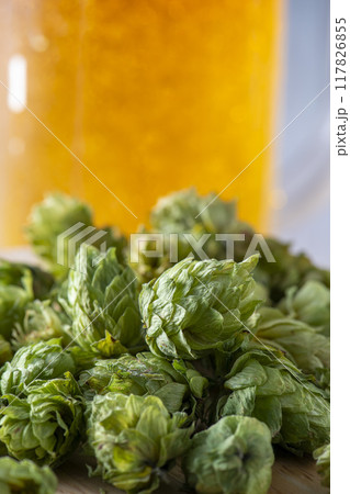 ビール原料の香りが良いホップ 117826855