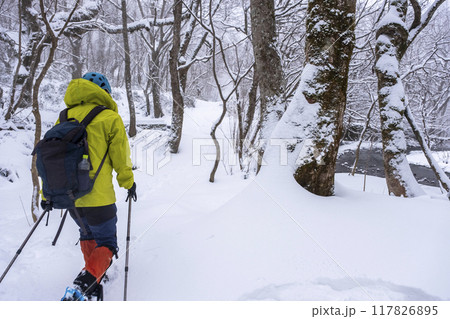 スノーシュートレッキングのイメージ　大山木谷沢渓流 117826895
