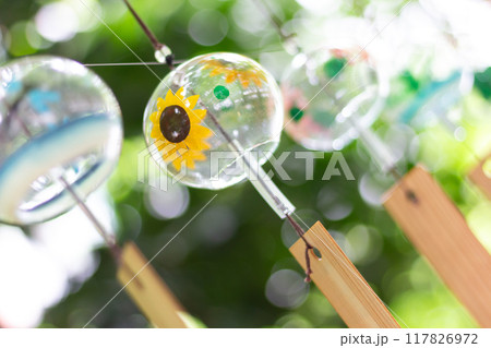 夏の涼、風鈴イメージ 夏の涼、風鈴イメージ 117826972
