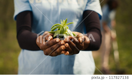 African american girl presenting small sprout with organic soil ready for planting in the ground, preserving nature and forest habitat. Young activist doing voluntary work to grow trees. Camera A. 117827138