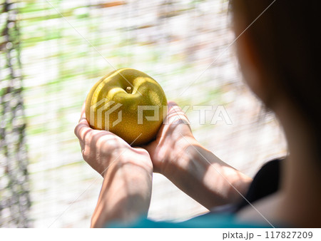 梨と女性 117827209
