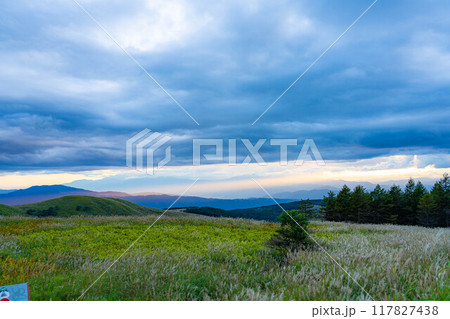 【天使の梯子】霧ケ峰高原から見る天使の梯子【長野県】 117827438