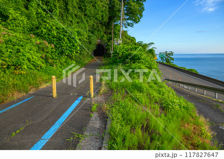 夏の久比岐自転車道【上越市】 117827647