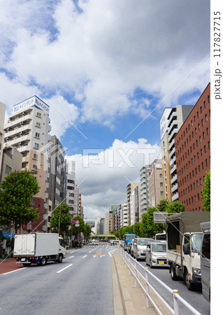 東京都中央区の街風景イメージ 東京都中央区の街風景イメージ 117827715