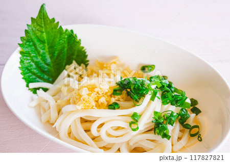 ぶっかけうどん ぶっかけうどん 117827821