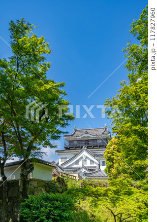 白亜の岡崎城天守　徳川家康公が生誕した神君出生の城　岡崎市のシンボル　龍にまつわる伝説　龍ヶ城 117827960