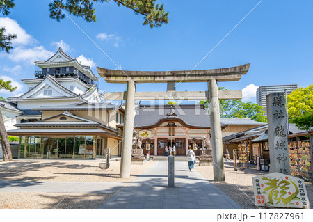 龍城神社　家康公生誕の朝、城楼上に雲を呼び風を招く金の龍が現れ昇天した昇龍伝説が残るパワースポット 117827961