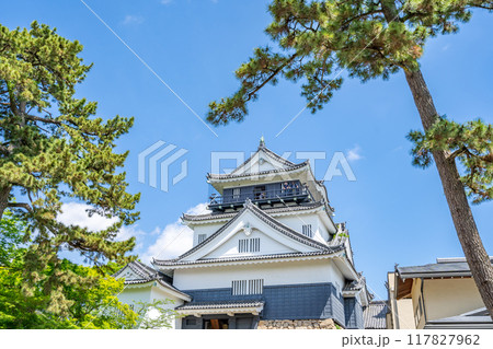白亜の岡崎城天守 徳川家康公が生誕した神君出生の城 岡崎市のシンボル 龍にまつわる伝説 龍ヶ城 白亜の岡崎城天守 徳川家康公が生誕した神君出生の城 岡崎市のシンボル 龍にまつわる伝説 龍ヶ城 117827962