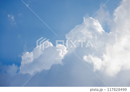 青空に沸き立つ白い雲 117828499