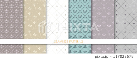 クラシカルなパターンのセット 117828679