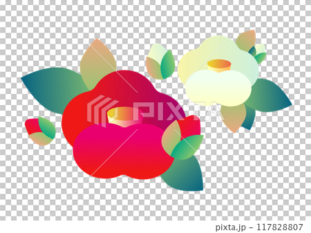 紅白山茶花插畫素材 117828807