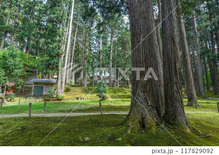 苔むした境内にひっそりと佇む古いお堂の情景 苔むした境内にひっそりと佇む古いお堂の情景 117829092