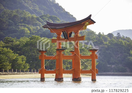 日本三景のひとつである嚴島神社の大鳥居(広島県廿日市市宮島町) 日本三景のひとつである嚴島神社の大鳥居(広島県廿日市市宮島町) 117829225