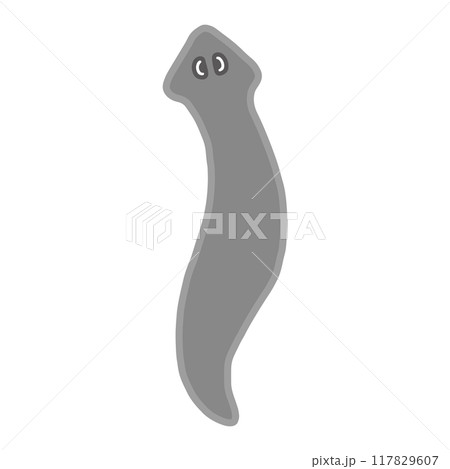 プラナリア・モノクロ 117829607