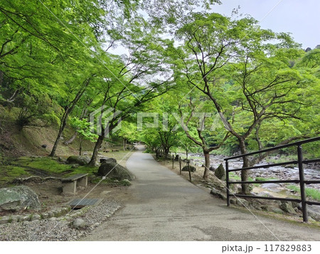 川沿いの道 川沿いの道 117829883