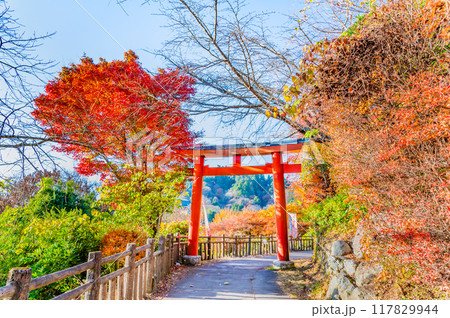 東京 紅葉に染まる武蔵御嶽神社　参道の赤鳥居 117829944
