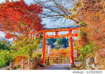 東京 紅葉に染まる武蔵御嶽神社 参道の赤鳥居 東京 紅葉に染まる武蔵御嶽神社 参道の赤鳥居 117829945