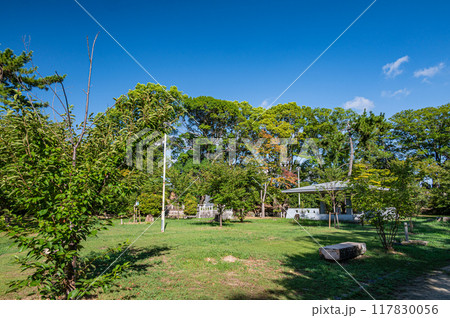 淀城跡公園風景　京都市伏見区　 117830056