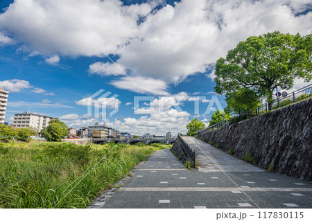 夏の京都鴨川風景 七条大橋下流側 夏の京都鴨川風景 七条大橋下流側 117830115