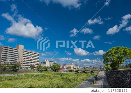 夏の京都鴨川風景　七条大橋下流側　 117830131