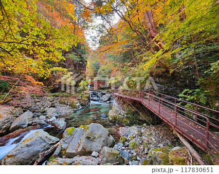巌立峡（秋） 117830651