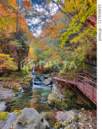 巌立峡（秋） 117830655