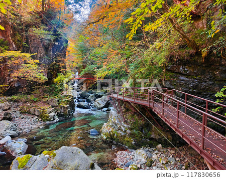 巌立峡（秋） 117830656