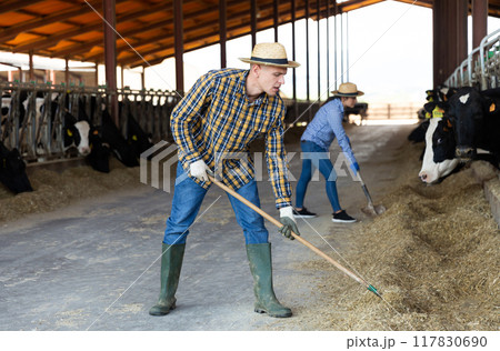 Portrait of male farmer working in cowshed 117830690