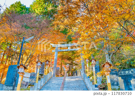 東京 紅葉に染まる武蔵御嶽神社 霧の御坂の鳥居 東京 紅葉に染まる武蔵御嶽神社 霧の御坂の鳥居 117830710